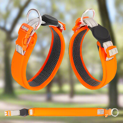 Collier chien WoufTagâą orange vu Ă plat â boucle renforcĂ©e et sangle rĂ©glable