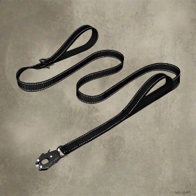 Laisse pour chien LeashFrog™ – version noire élégante avec coutures réfléchissantes