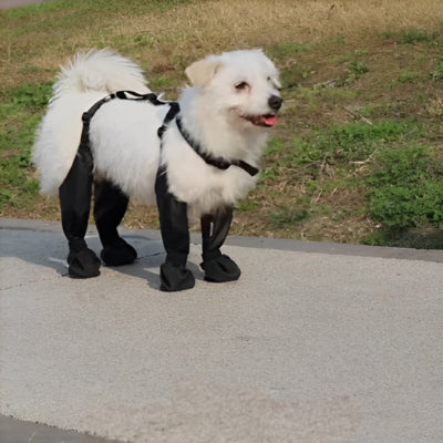 bottes-pour-chien-FurryFit Boots-foudtoutous-taille-S