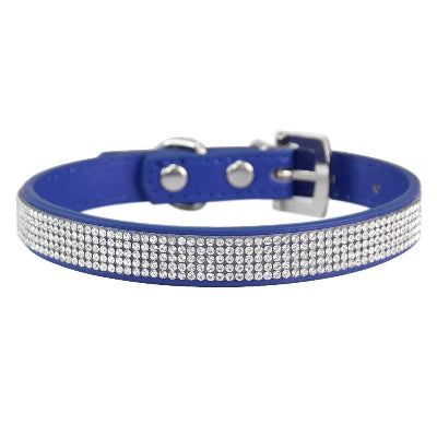 Collier-chien-glamour-LuxePattes-bleu foncé