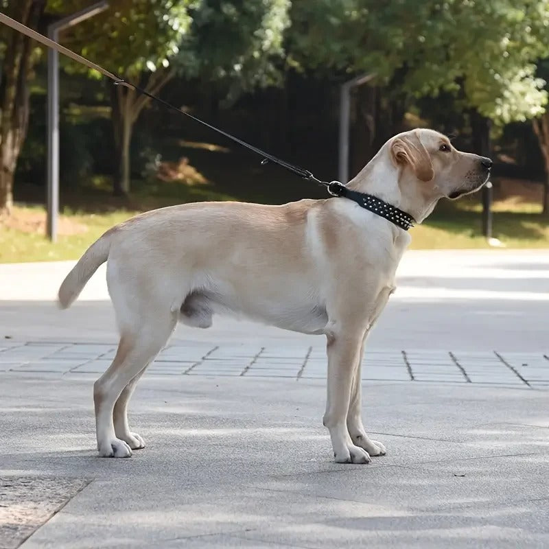 Collier-chien-ProtectiCone-sécurité-noir