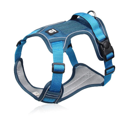 Harnais-chien-ArmorPup--bleu-foudtoutous