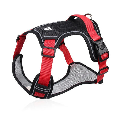 Harnais-chien-ArmorPup-noir-+foudtoutous