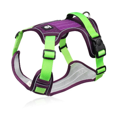 Harnais-chien-ArmorPup-violet-foudtoutous