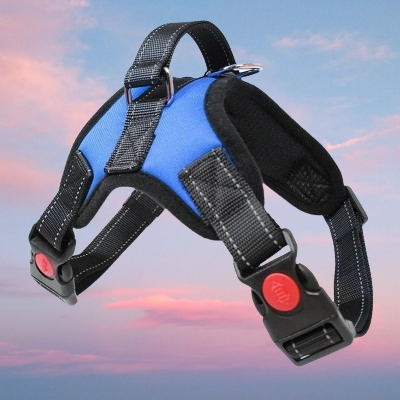  Harnais chien bleu ProMarche™ pour promenade