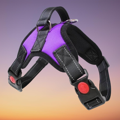 Harnais chien violet ProMarche™ pour promenade