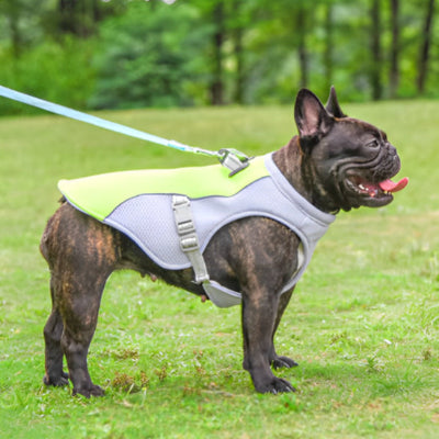 Harnais-pour-chien-rafraîchissant-vert