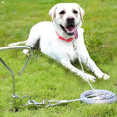 Laisse-pour-chien-SteelPawLead-quatre-mètres