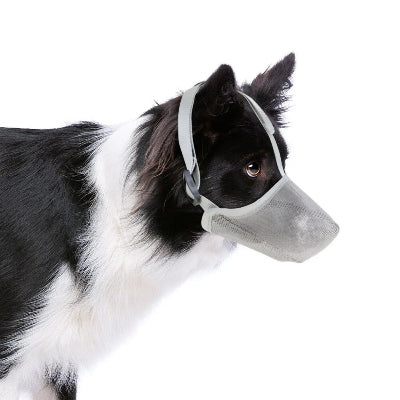 Muselière-chien-GuardSnout--gris-foudtoutous