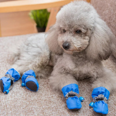 Chien avec bottes pour chien bleues ProGripPaw respirantes et légères