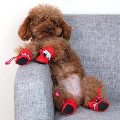 Petit chien portant des bottes pour chien rouges ProGripPaw confortables et antidérapantes