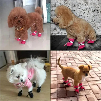 Chien portant des bottes roses ProGripPaw résistantes et confortables