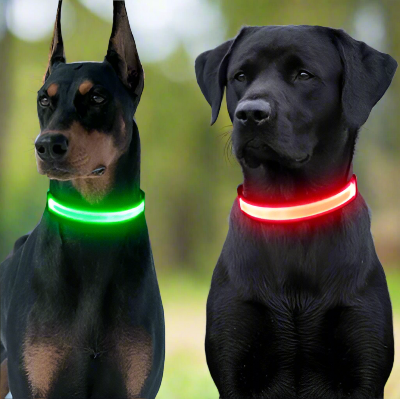 Deux grands chiens côte à côte, l’un portant un collier lumineux pour chien rouge et vert PawBright™