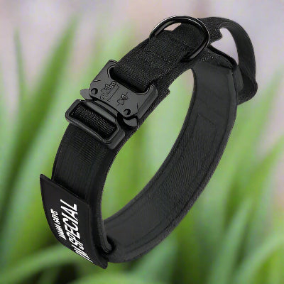 Collier chien DogOps Collar™ noir avec clip sécurisé