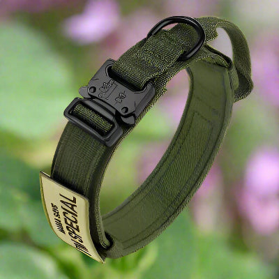Collier chien DogOps Collar™ vert militaire robuste et réglable