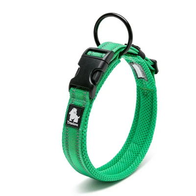 collier-chien-en-nylon-ComfyNeckPup-Vert herbe-foudtoutous