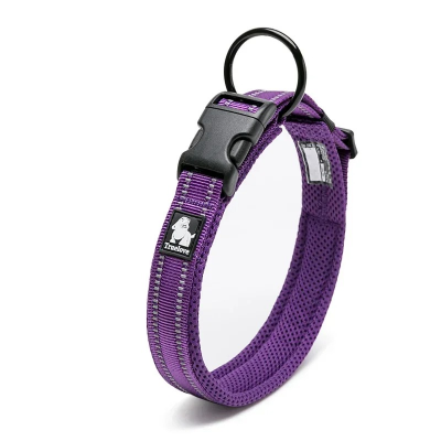 collier-chien-en-nylon-ComfyNeckPup-violet-foudtoutous