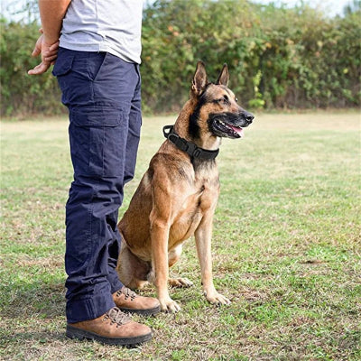 collier-pour-chien-noir-foudtoutous