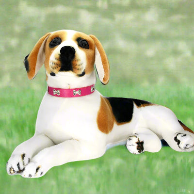 Peluche de démonstration portant le collier chien Rivet’Os™ avec laisse assortie – démonstration produit