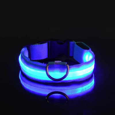 collier lumineux pour chien LED bleu PawBright™ allumé, vue produit sur fond noir
