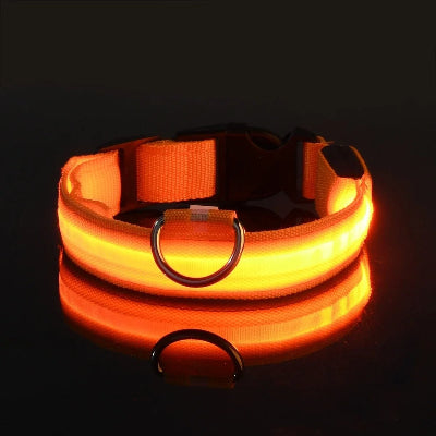 Collier lumineux pour chien orange PawBright™ vu de près, activé dans l’obscurité