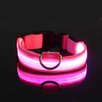 collier lumineu pour chien Zoom sur le collier LED rose PawBright™, design ajustable et lumineux