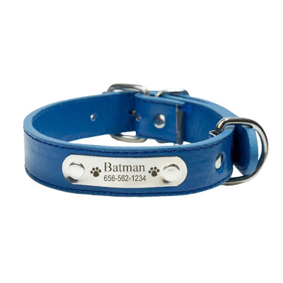 collier-pour-chien-bleu-foudtoutous-personnalisé