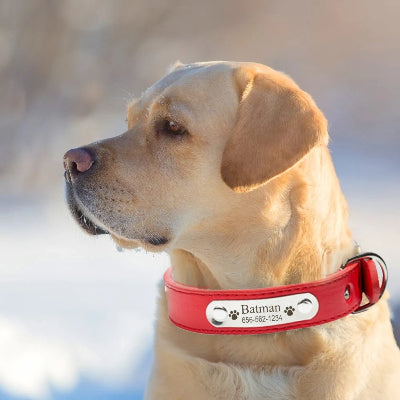 collier-pour-chien-rouge-personnalisé