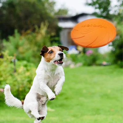 frisbee-chien-flyingdisctoys-orange-foudtoutous