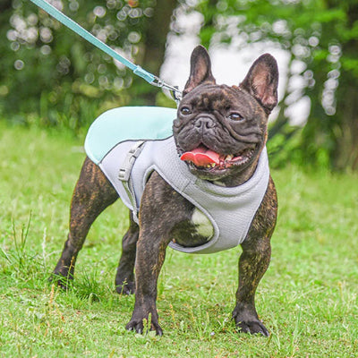 Harnais-pour-chien-rafraîchissant-FreschToutou-bleu