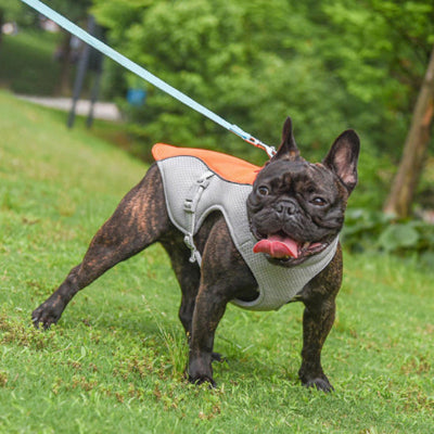 Harnais-pour-chien-rafraîchissant-FreschToutou-orange