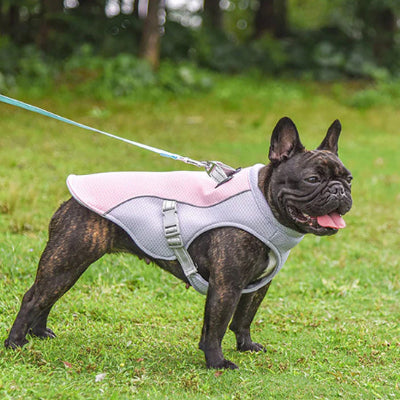 Harnais-pour-chien-rafraîchissant-FreschToutou-violet