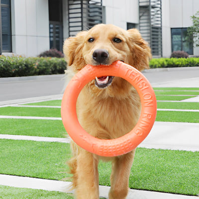 jouet-chien-anneau-flottant-Ringwa-orange