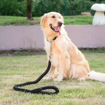Laisse pour chien TrailTress™ robuste et flexible