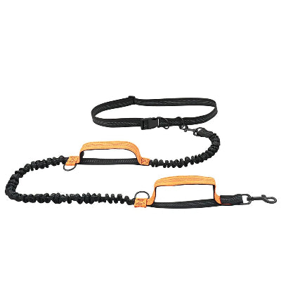 laisse-chien-main-libre-footing-orange