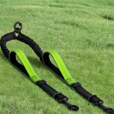 Laisse chien DoubleWoof™ verte