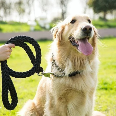 Laisse pour chien TrailTress™ poignée stéréotypée