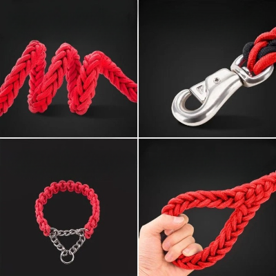 Laisse pour chien TrailTress™ solide