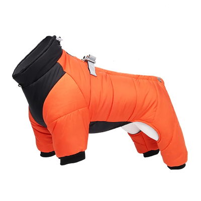 manteau-chien-foudtoutous-orange
