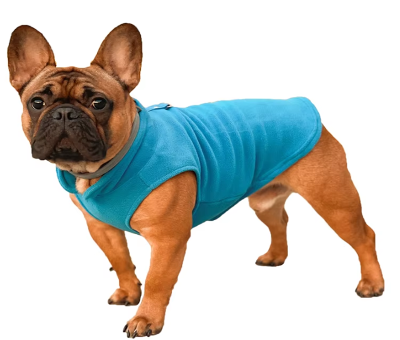 manteau-chien-bleu-clair-foudtoutous