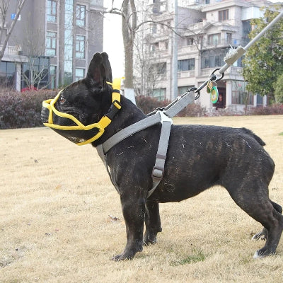 Chien debout qui porte une muselière pour chien jaune ShortSnout™