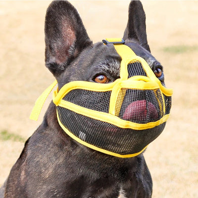 Chien assis qui porte une muselière pour chien jaune ShortSnout™