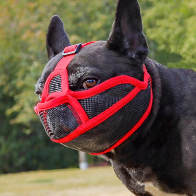 Chien assis qui porte une muselière pour chien rouge ShortSnout™