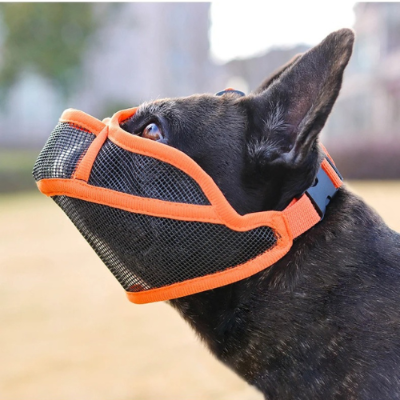 Chien assis qui porte une muselière pour chien orange  ShortSnout™