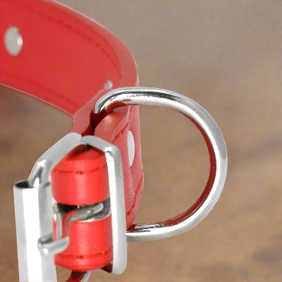 Zoom sur la boucle sécurisée du collier chien Rivet’Os™ – système d’attache robuste